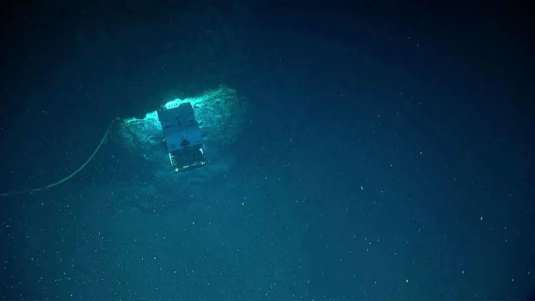 海洋奇妙物语丨今日海底小雪,4-5℃-厦门大学海洋生物地球化学全国重点实验室